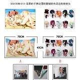 Collection anime double sided pillow(45X70CM)013