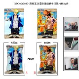 One Piece anime double sided pillow(45X70CM)030