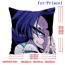 fzt-Prince1