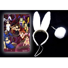 Haruhi Cosplay rabbit ears and tail