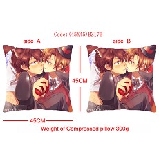 Axis Powers Hetalia anime double face pillow