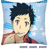 Reborn anime pillow