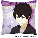 Reborn anime pillow
