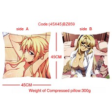 Freezing anime double sides pillow (45X45)BZ859
