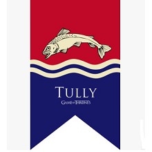 Game of Thrones TULLY cos flag