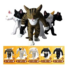 The Cat figures set(5pcs a set)