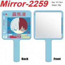 Mirror-2259