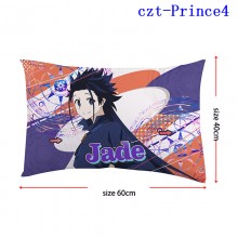 czt-Prince4