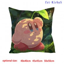 fzt-Kirby5