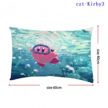 czt-Kirby3