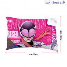 czt-Sentai6