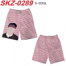 SKZ-0289