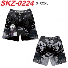 SKZ-0224