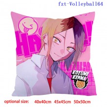 fzt-Volleyball64