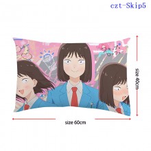 czt-Skip5