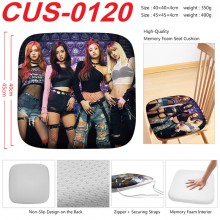 CUS-0120