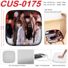 CUS-0175