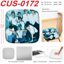 CUS-0172