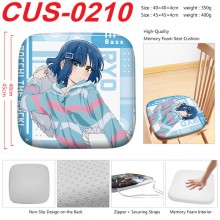 CUS-0210