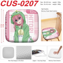 CUS-0207