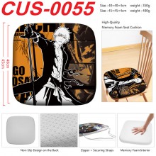 CUS-0055