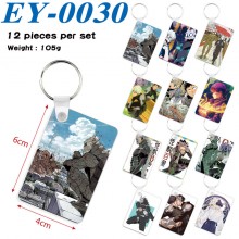 EY-0030