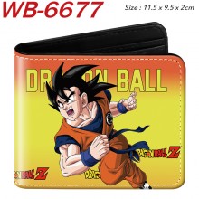 WB-6677