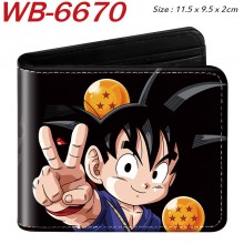 WB-6670