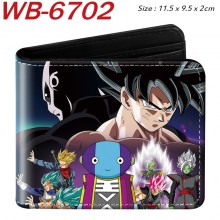 WB-6702