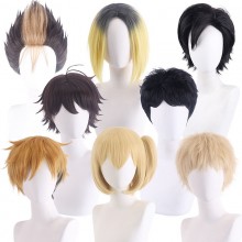 Haikyuu anime cosplay wig