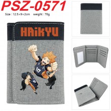 PSZ-0571