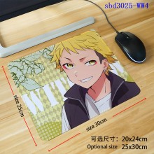 sbd3025-WW4