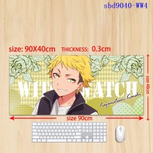 sbd9040-WW4