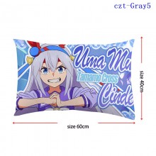 czt-Gray5
