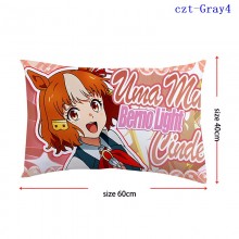 czt-Gray4