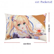czt-Pockets2