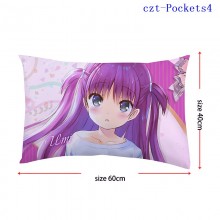 czt-Pockets4