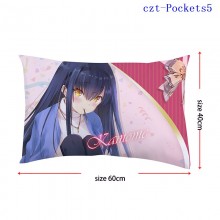 czt-Pockets5