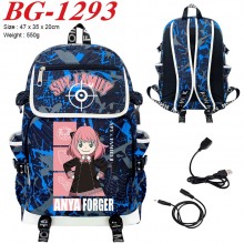 BG-1293