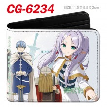 CG-6234
