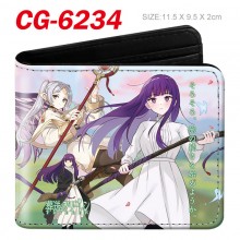 CG-6234