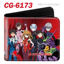 CG-6173