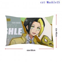 czt-Mashle15
