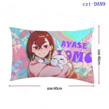 czt-DAN9