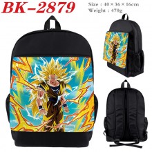 BK-2879