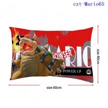 czt-Mario65