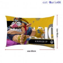 czt-Mario66