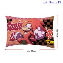 czt-Sonic43