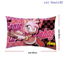 czt-Sonic42