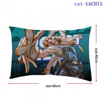czt-GACHI5